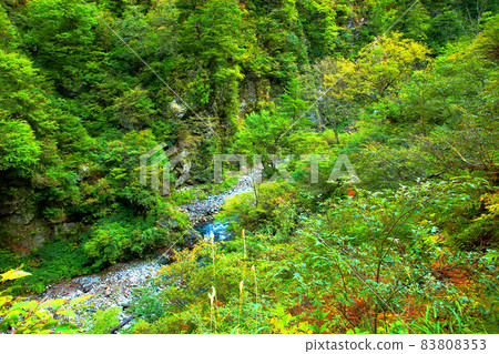 中部山國立公園 黑部峽谷 Keyakidaira Somaya Valley 中部山國立公園 黑部峽谷 Keyakidaira Somaya Valley 83808353