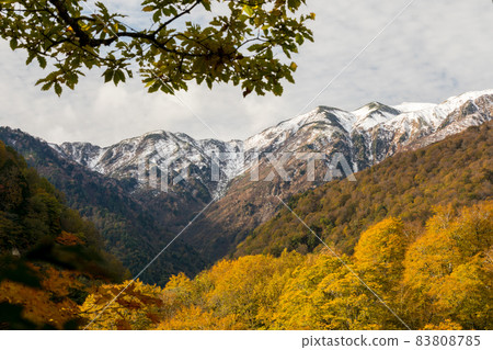 秋葉山脈和白山山脈 秋葉山脈和白山山脈 83808785