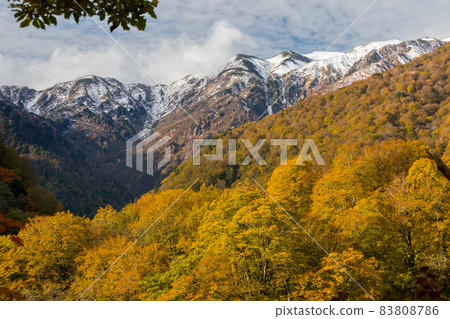 Snow-capped Mt. Haku and Mt. Autumn leaves Snow-capped Mt. Haku and Mt. Autumn leaves 83808786