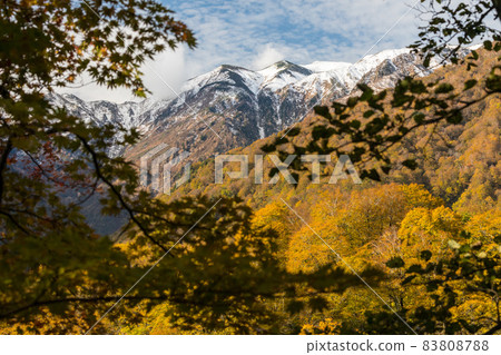 白山在紅葉中閃耀的雪中 白山在紅葉中閃耀的雪中 83808788