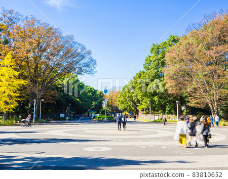 Yoyogi Park Harajuku Gate 83810652