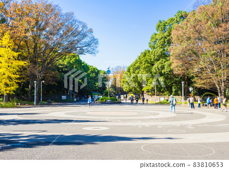 Yoyogi Park Harajuku Gate 83810653