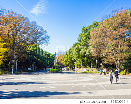 Yoyogi Park Harajuku Gate Yoyogi Park Harajuku Gate 83810654