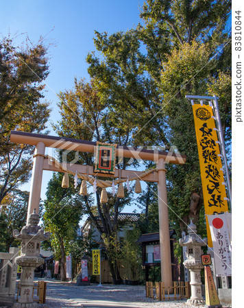 Scenery of the precincts of Tenso Shrine Scenery of the precincts of Tenso Shrine 83810844