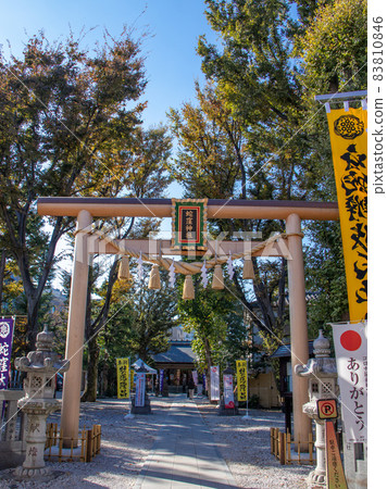 Scenery of the precincts of Tenso Shrine 83810846
