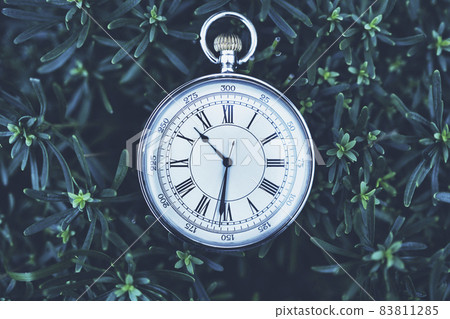懷錶和綠色背景 83811285