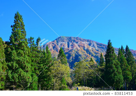 Koike Park Mountain Range and Autumn Leaves Ono City 83811453
