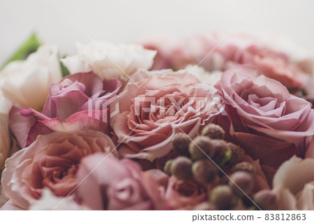 Antique rose 83812863