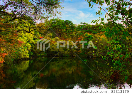 秋天的里磐梯五色沼周圍,美麗的秋葉 秋天的里磐梯五色沼周圍,美麗的秋葉 83813179