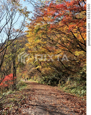 山形縣明芝峽秋天 83813800