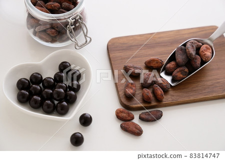 巧克力原料,越南可可豆 巧克力原料,越南可可豆 83814747