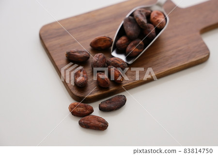 巧克力原料，越南可可豆 83814750