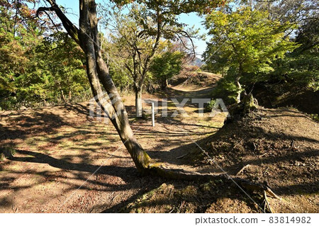 Kuruwa group of Genba'o Castle in late autumn Mt. Nakao, where the headquarters of the Shibata Katsuie was in the battle of Shizugatake 83814982