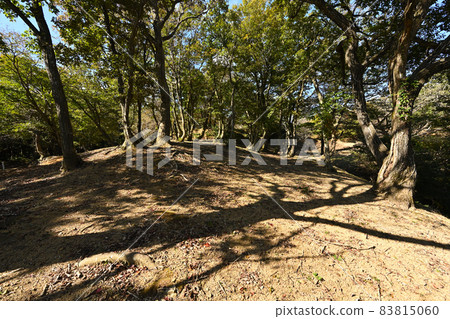 Kuruwa group of Genba'o Castle in late autumn Mt. Nakao, where the headquarters of the Shibata Katsuie was in the battle of Shizugatake 83815060