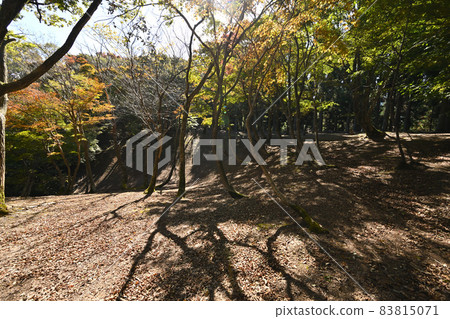 Kuruwa group of Genba'o Castle in late autumn Mt. Nakao, where the headquarters of the Shibata Katsuie was in the battle of Shizugatake 83815071