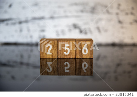 Image (daily term) Block character 256 Image (daily term) Block character 256 83815341