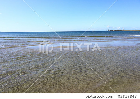 在海岸的步槍 在海岸的步槍 83815848