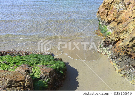 海岸 83815849