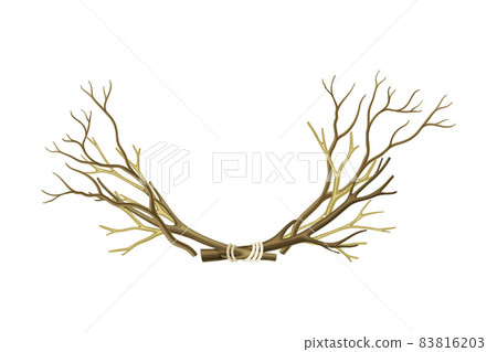 Bare Tree Branch Tied in Semi Circle Vector Illustration Bare Tree Branch Tied in Semi Circle Vector Illustration 83816203