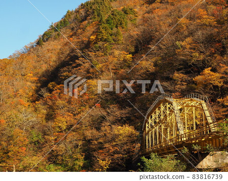 明芝峽和荒川四號橋的紅葉 83816739