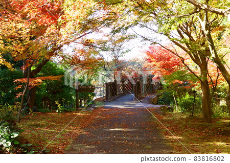 秋葉隧道盡頭的秋葉橋 83816802