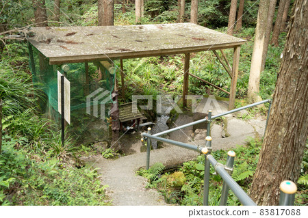 Hedama water 83817088