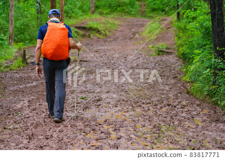 Hiking tourists wearing backpacks outdoors trekking in forest. hiker man with shoe covered in mud taken walking in rain forest. Hike trail Hiking tourists wearing backpacks outdoors trekking in forest. hiker man with shoe covered in mud taken walking in rain forest. Hike trail 83817771