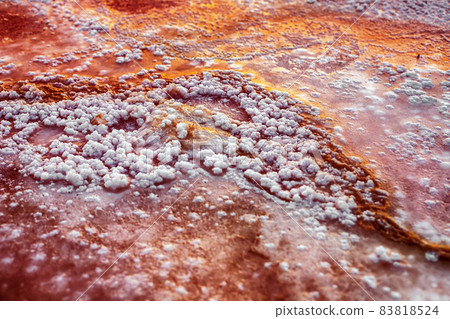 Sahara Desert, Salt Lake, Tunisia. Salt close-up in the salt desert Sahara Desert, Salt Lake, Tunisia. Salt close-up in the salt desert 83818524