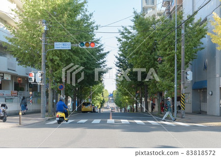 Roadside trees from Kappaku Saginuma entrance intersection Roadside trees from Kappaku Saginuma entrance intersection 83818572