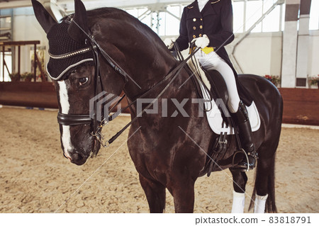 woman jockey with his horse woman jockey with his horse 83818791