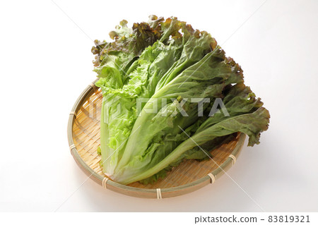 sunny lettuce 83819321