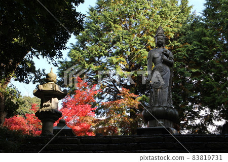 Autumn leaves of Tozaian Autumn leaves of Tozaian 83819731