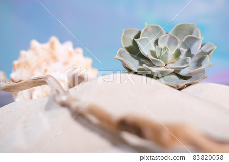 echeveria succulent flower on a sand and seashell next to a sea polished tree branch. evergreen succulents, gardening concept. 83820058