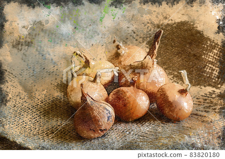 Vegetable Harvest. Raw brown bulbs on the sack. Ripe onions. 83820180