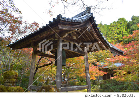 我在 2021 年 11 月的清晨參觀的京都牧尾山西明寺鐘樓周圍的秋葉非常漂亮。 我在 2021 年 11 月的清晨參觀的京都牧尾山西明寺鐘樓周圍的秋葉非常漂亮。 83820333