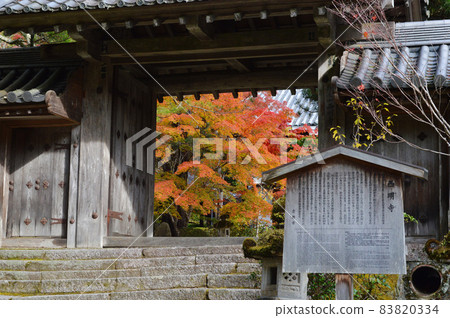 2021 年 11 月的清晨,從京都牧尾山西明寺正門看到的紅葉非常漂亮。 2021 年 11 月的清晨,從京都牧尾山西明寺正門看到的紅葉非常漂亮。 83820334