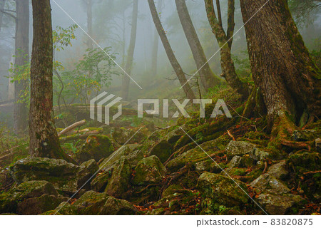 Mountains and forests 83820875