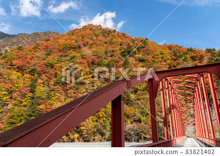 Hatanagi Bridge and autumn leaves Hatanagi Bridge and autumn leaves 83821402