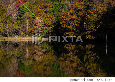 Serinuma Pond in Autumn Chausan Plateau 83821458