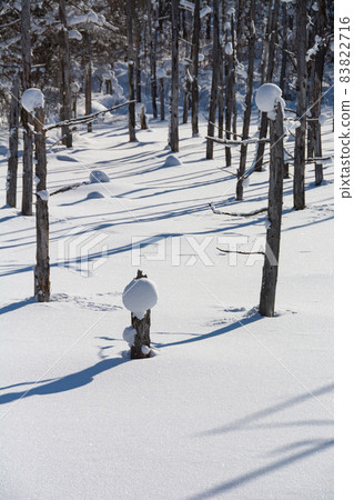Snowy blue pond Biei-cho Snowy blue pond Biei-cho 83822716