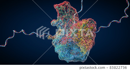 Ribosome as part of an biological cell... - Stock Illustration ...