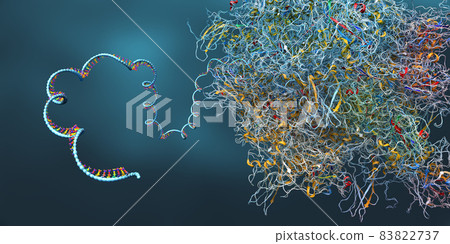 Ribosome as part of an biological cell constructing messenger rna molecule - 3d illustration 83822737