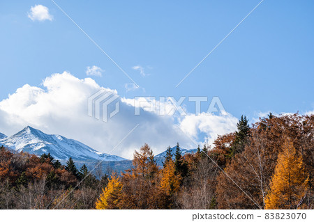Mt. Norikura and autumn leaves covered with autumn snow Mt. Norikura and autumn leaves covered with autumn snow 83823070