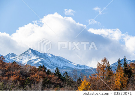 乘鞍山和被秋雪覆蓋的秋葉 乘鞍山和被秋雪覆蓋的秋葉 83823071