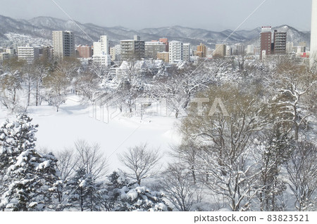 View of Sapporo Nakajima Park in February from a nearby hotel room 83823521