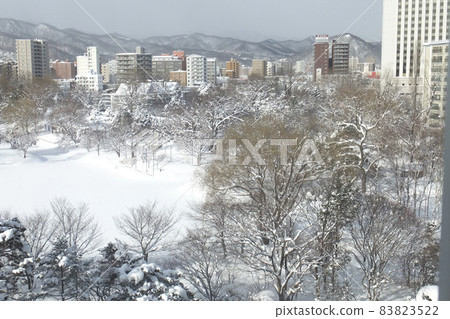 View of Sapporo Nakajima Park in February from a nearby hotel room View of Sapporo Nakajima Park in February from a nearby hotel room 83823522