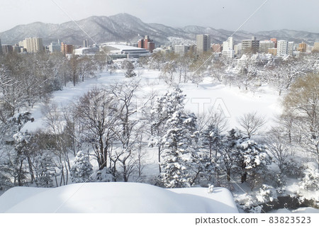 View of Sapporo Nakajima Park in February from a nearby hotel room 83823523