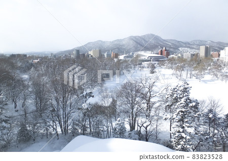 View of Sapporo Nakajima Park in February from a nearby hotel room View of Sapporo Nakajima Park in February from a nearby hotel room 83823528