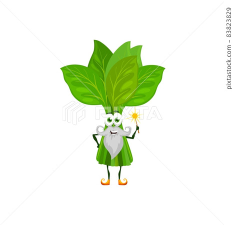 Cartoon green spinach wizard character or magician vegetable with magic wand. Vector cartoon personage of fairy tale sorcerer or spinach conjurer with golden magic wand Cartoon green spinach wizard character or magician vegetable with magic wand. Vector cartoon personage of fairy tale sorcerer or spinach conjurer with golden magic wand 83823829