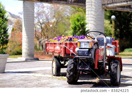 Cultivator picking flowers Gunma Flower Park 83824225